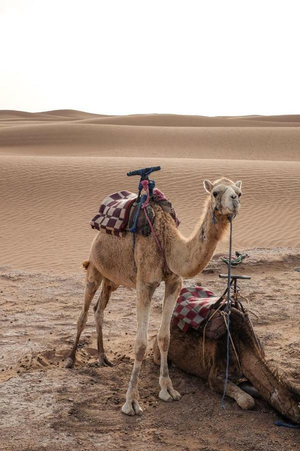 Kasbah Aitisfoul Otel Tagounite Dış mekan fotoğraf